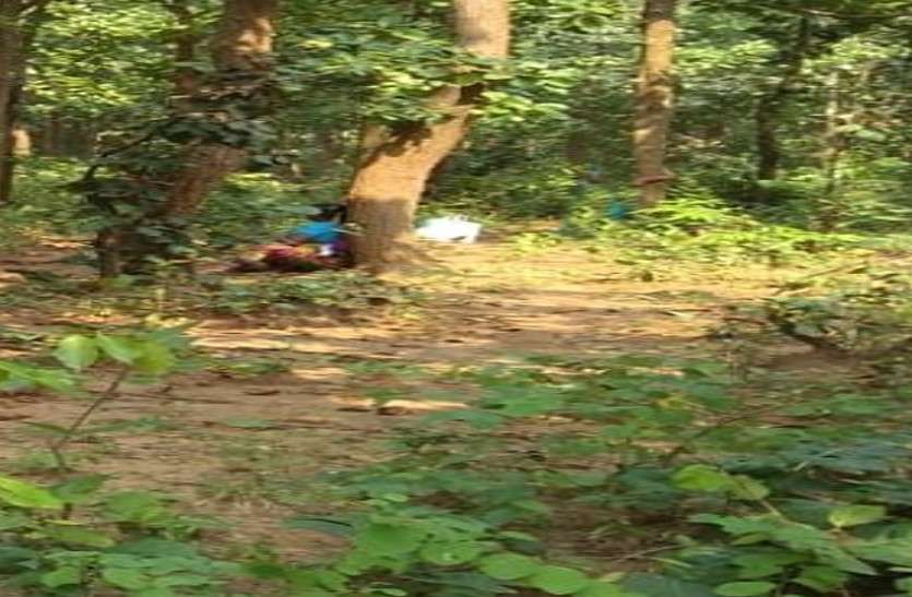 foret.jpg शिकार से पहले ही वन विभाग के हत्थे चढ़े ३ शिकारी