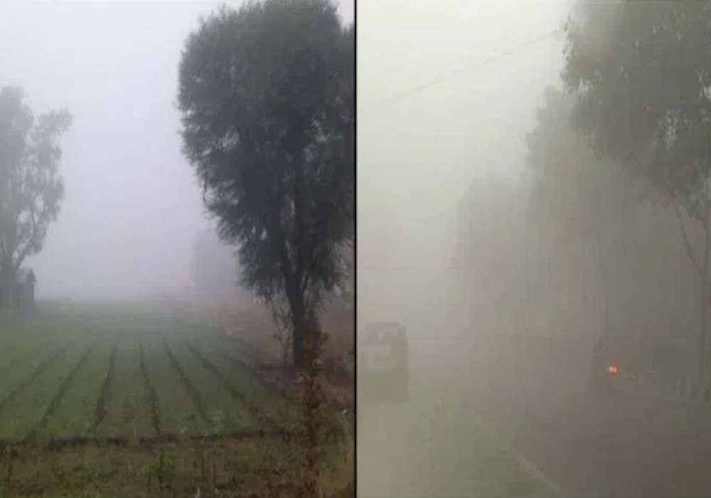 Weather Forecast Update Rain Alert Fog To Increase - Weather Forecast: इन  दो दिनों में मौसम लेगा करवट, इन जिलों में होगी बारिश, बढ़ेगी ठंड | Patrika  News