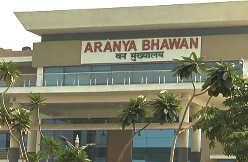 छत्तीसगढ़ में बड़ा प्रशासनिक फेरबदल, 7 IFS का हुआ तबादला छत्तीसगढ़ में बड़ा प्रशासनिक फेरबदल, चार IAS के बाद 7 IFS का हुआ तबादला, यहां देखें डिटेल