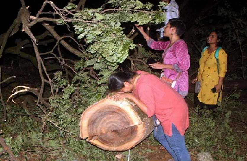 Mumbai Tree Felling Protests मुंबई में पेड़ों की कटाई के विरोध में प्रदर्शन के बाद निषेधाज्ञा लागू