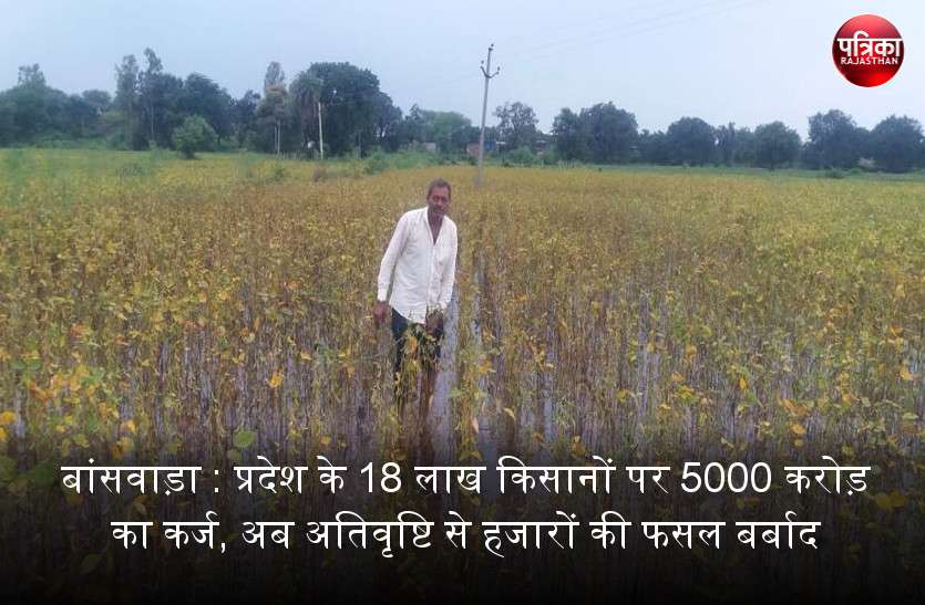 बांसवाड़ा : प्रदेश के 18 लाख किसानों पर पांच हजार करोड़ का कर्ज, अब अतिवृष्टि से हजारों की फसल बर्बाद बांसवाड़ा : प्रदेश के 18 लाख किसानों पर पांच हजार करोड़ का कर्ज, अब अतिवृष्टि से हजारों की फसल बर्बाद