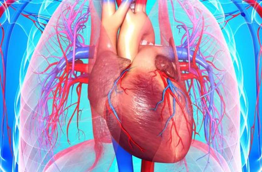 heart-disease-1552649741.jpg इन पांच देशी उपायों पर अमल करने से कभी नहीं होगी दिल की बीमारी
