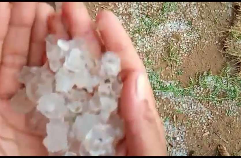 किसानों के साथ बुरा हुआ, अंधड़,बारिश,ओलावृष्टि से फसलों को नुकसान किसानों के साथ बुरा हुआ, अंधड़,बारिश,ओलावृष्टि से फसलों को नुकसान