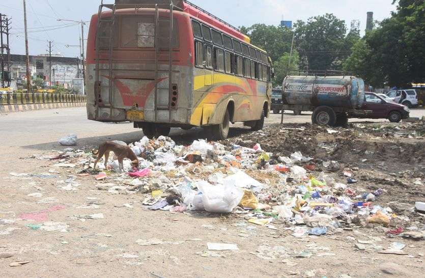 patrika मध्यप्रदेश के इस निगम के आयुक्त पर कोर्ट का एक्शन