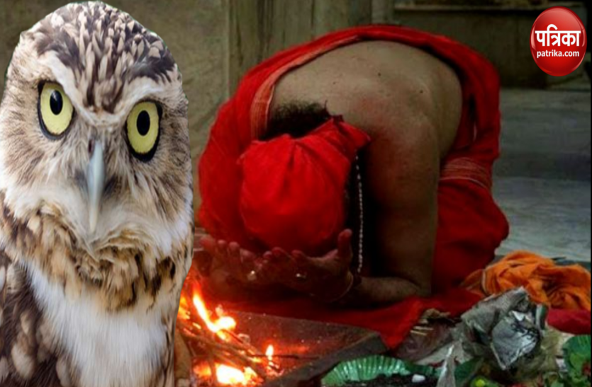 Vashikaran Ke Tarike, Alert In Uttarakhand For Owl Security, Tantrik Kriya Me Ullu Ka Kaam, Ullu Se Jadu Tona, Ullu Se Tantra Mantr उल्लुओं को शिकारियों से बचाने के लिए लगाई फोर्स!...तंत्र क्रिया में यूं आता है काम