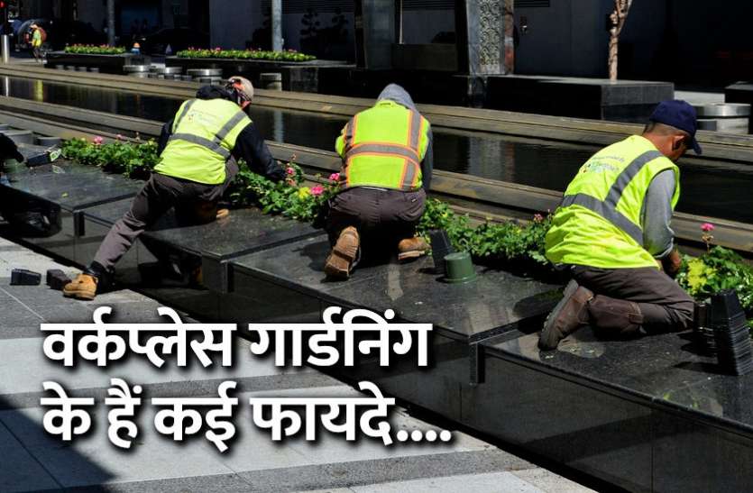 Office Work, startups, success mantra, start up, Management Mantra, motivational story, career tips in hindi, inspirational story in hindi, motivational story in hindi, business tips in hindi, Office Work: वर्कप्लेस गार्डनिंग के हैं कई फायदे