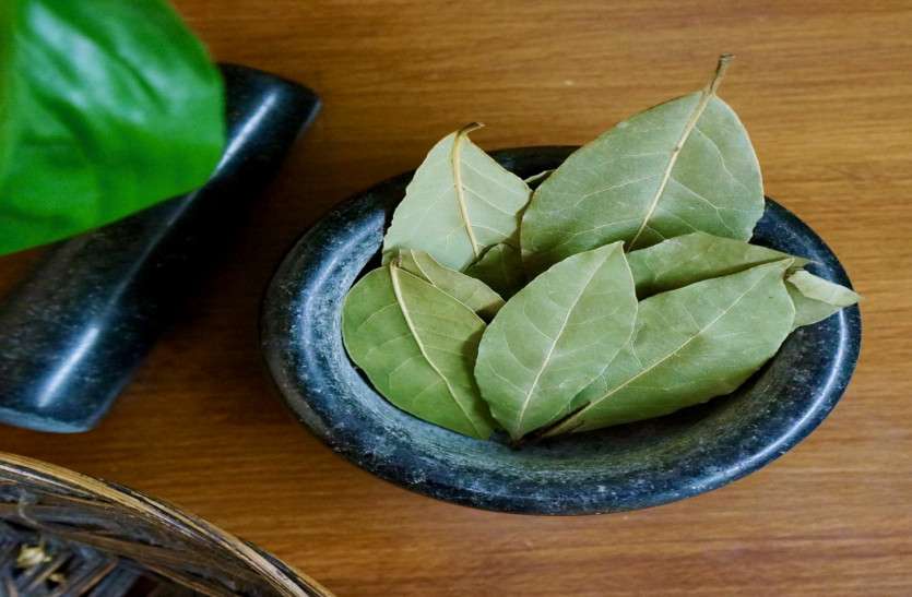तेजपत्ता माइग्रेन, पेट व संक्रामक रोगों के लिए है फायदेमंद तेजपत्ता माइग्रेन, पेट व संक्रामक रोगों के लिए है फायदेमंद