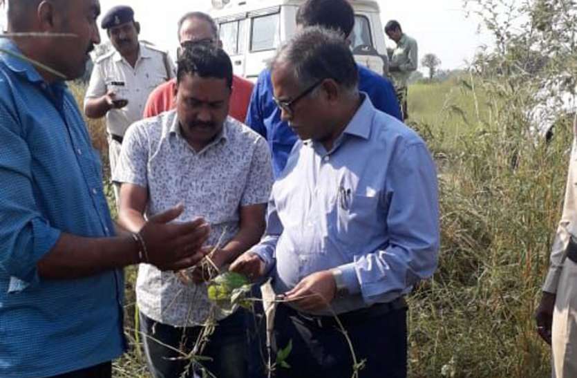 Quick survey of farmers' crop damage किसानों की फसल नुकसानी का जल्द करें सर्वे