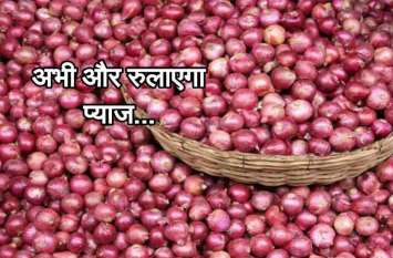 onion prices gwalior at madhya pradesh rate प्याज निकालने लगी आंसू, फिर आसमान पर पहुंचे प्याज के भाव