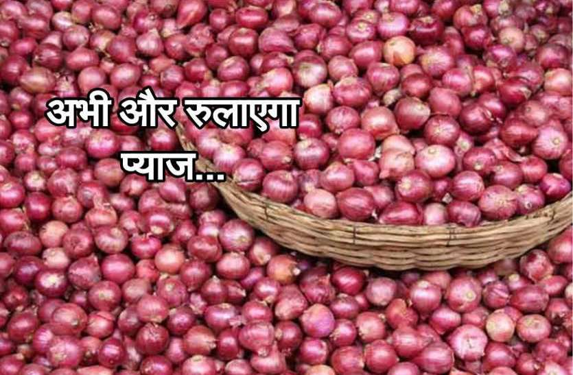 onion prices gwalior at madhya pradesh rate प्याज निकालने लगी आंसू, फिर आसमान पर पहुंचे प्याज के भाव