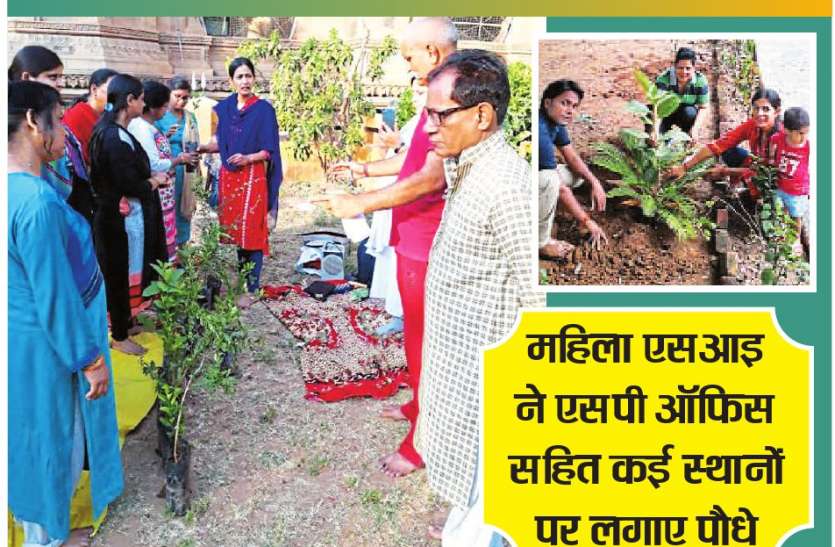नौकरी की व्यस्तता के बीच पर्यावरण के सरंक्षण में जुटीं नौकरी की व्यस्तता के बीच पर्यावरण के सरंक्षण में जुटीं