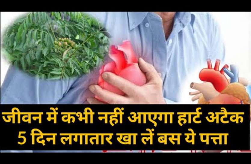 kari patta khane ka tarika: methi patta khane ke fayde in hindi जीवन में कभी नहीं आएगा हार्ट अटैक, 5 दिन लगातार खा लें बस ये पत्ता, रामबाण बनकर आएगा सामने