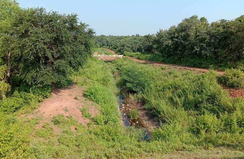Canal of Simrar reservoir located at Kauria जर्जर नहर ने एक बार फिर बढ़ाई किसानों की चिंता, इस सीजन गेहूं सिंचाई पर संशय