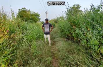 Memory forest is piercing the eyes instead of smelling सुहाने की जगह आंखों को चुभ रहा स्मृति वन