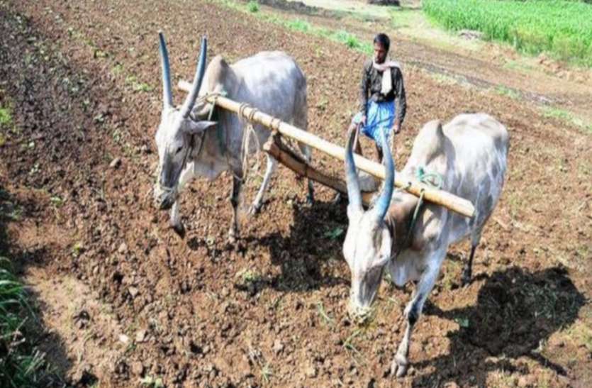 up farmers कुदरत और सिस्टम की मार से जूझ रहा यूपी किसान, बढ़ रहे सुसाइड के मामले