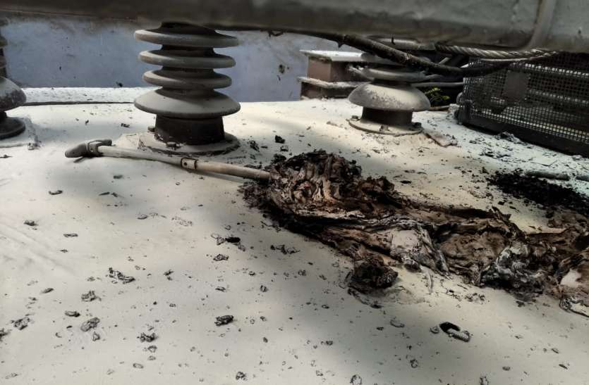 पता नहीं लोगों को क्या मजा मिलता है इसमें? पता नहीं लोगों को क्या मजा मिलता है इसमें?
