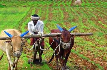 Online Registration: Farmers will get last chance today, if missed, lo Online Registration: किसानों को आज मिलेगा अंतिम मौका, चूके तो हो सकता है नुकसान