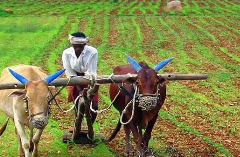 PM Kisan Samman Nidhi Yojana अब मुआवजे का 25 प्रतिशत ही होगा किसानों को भुगतान