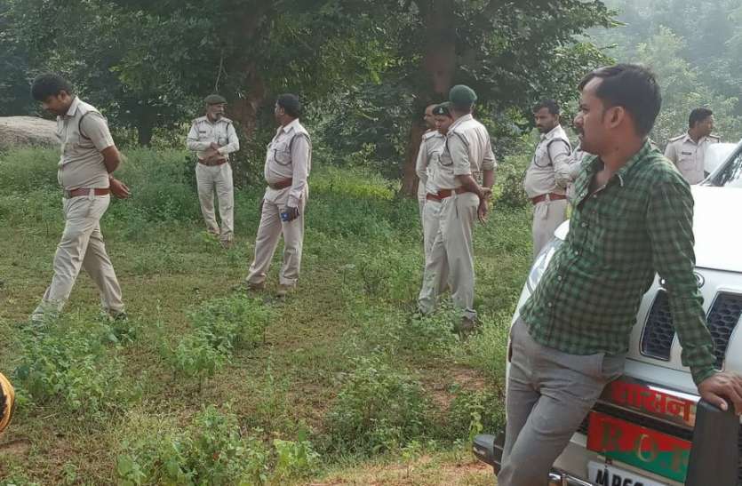 Panic in the village due to elephant terror in Singrauli हाथियों के आतंक से उर्ती गांव में दहशत, ग्रामीणों पर हमले में एक की मौत, दो घायल