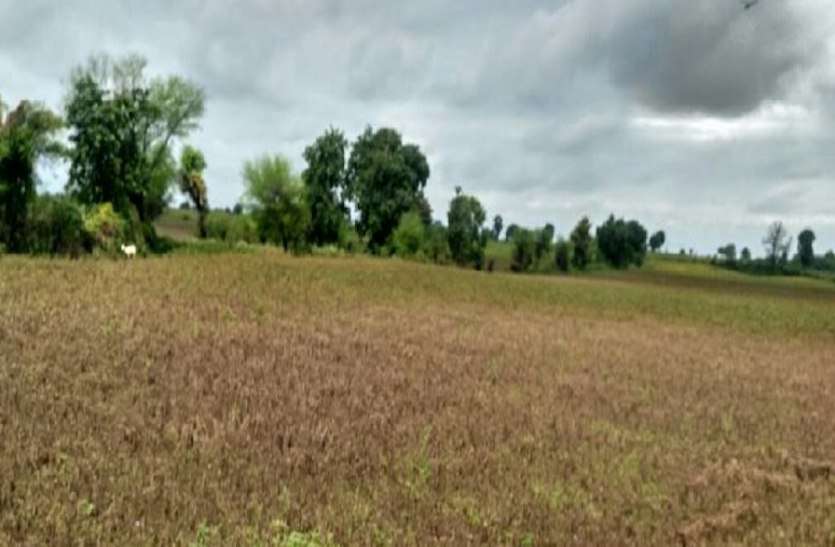 कलेक्टर ने जिले की पांच तहसील को किया आपदा प्रभावित क्षेत्र घोषित, बुदनी, रेहटी को छोड़ा कलेक्टर ने जिले की पांच तहसील को किया आपदा प्रभावित क्षेत्र घोषित, बुदनी, रेहटी को छोड़ा