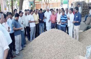 Peanut and millet's bumper arrivals broke business sluggishness मूंगफली व बाजरे की बम्पर आवक ने तोड़ी कारोबारी सुस्ती