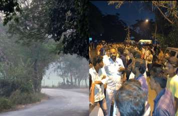 1 Tree Per Minute Cut In Aarey Colony, Mumbai मुंबई की आरे कॉलोनी में प्रति मिनट 1 पेड़ कटा