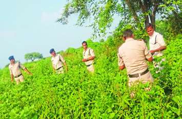 Chhattisgarh police are search 56 lakhs in farm of Bemetara district छत्तीसगढ़: पुलिस खेत और नाले में ढूंढ रही 56 लाख, आसमान में लगाया ड्रोन कैमरा, 4 घंटे बाद...