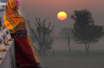 Cold Winds In Rajasthan: Temperature Again Falls in Shekhawati सर्द हवाओं से धूज रहा राजस्थान, खून पसीने की कमाई को बचाने की जुगत में लगे किसान