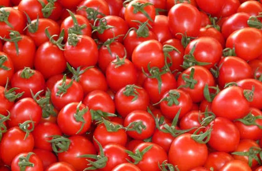 tomato.jpeg पाकिस्तान: टमाटर 300 के पार लेकिन मंत्री ने कहा सही कीमत 17 रुपए, अब सोशल मीडिया पर हुए ट्रोल