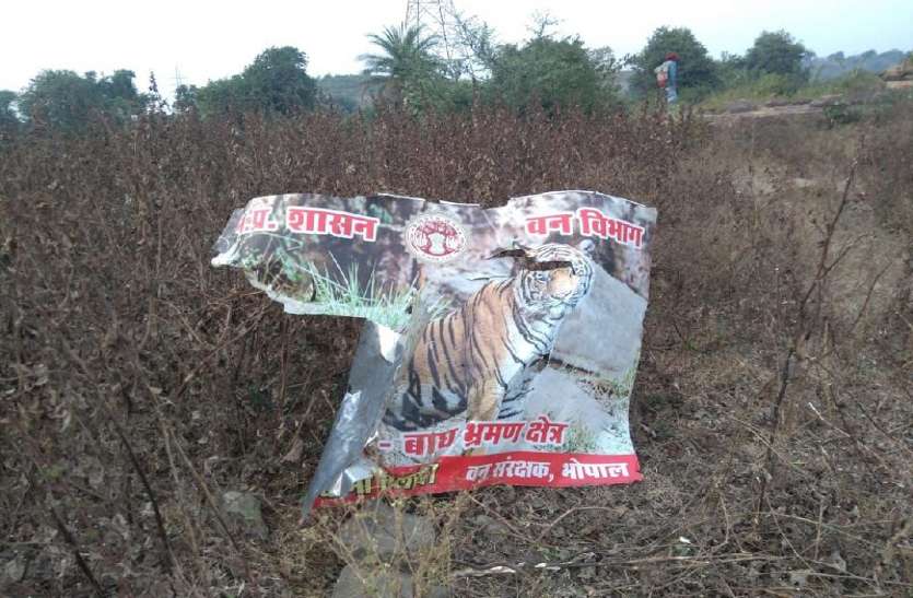 कंजर्वेटर बोले टाइगर नहीं हाइना दौड़ा था समीर के पीछे कंजर्वेटर बोले टाइगर नहीं हाइना दौड़ा था समीर के पीछे