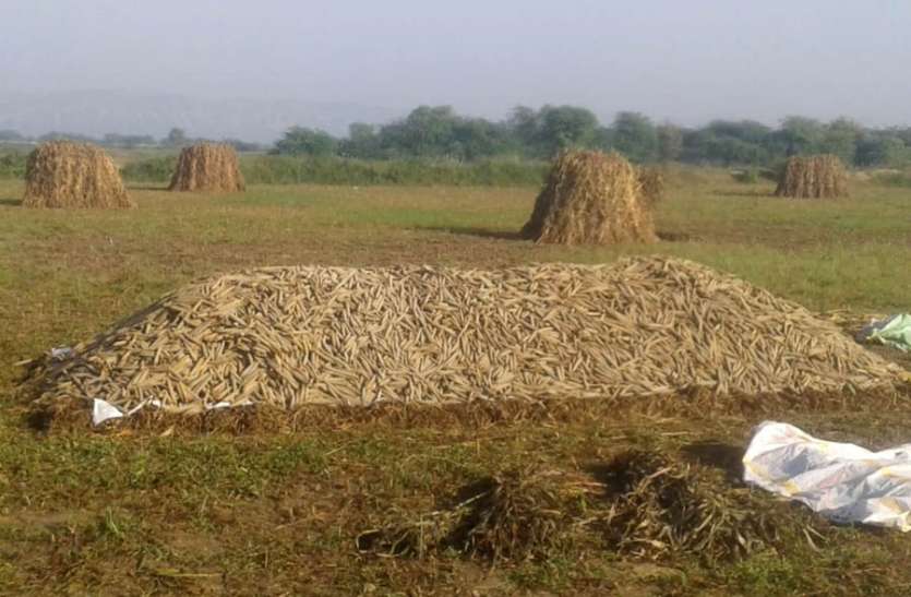 बारिश में बहे किसानों के अरमान बारिश में बहे किसानों के अरमान