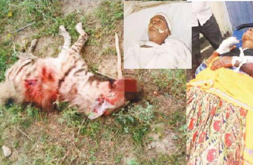 Attack of jarakh : जरख के हमले में तीन घायल, ग्रामीणों ने पीट पीटकर मार डाला Attack of jarakh : जरख के हमले में तीन घायल, ग्रामीणों ने पीट पीटकर मार डाला