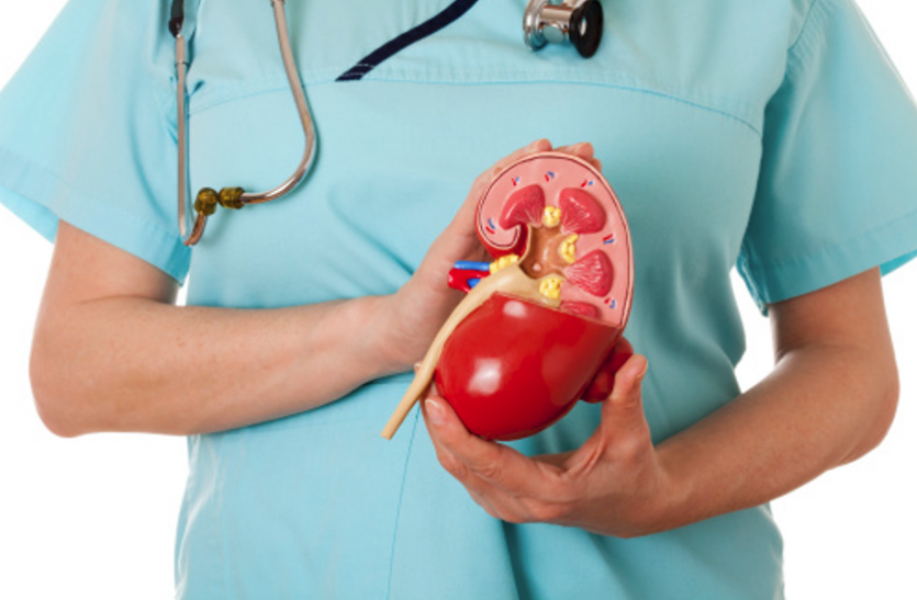 Myths and Facts about Kidney Diseases Kidney Disease: क्या है किडनी रोग से जुड़ी सच्चाई और भ्रम, जानिए यहां