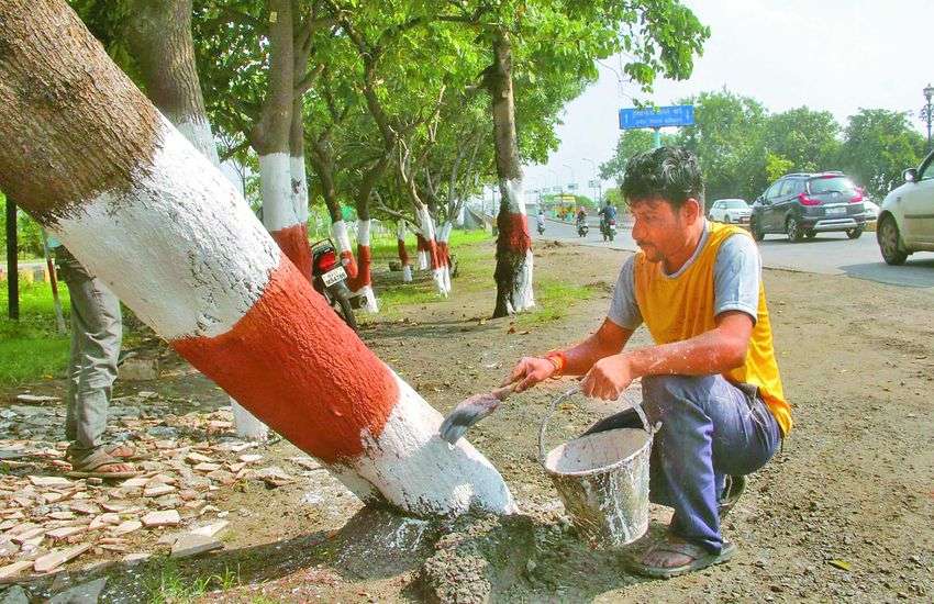 Magnificent - खुशखबर : मध्यप्रदेश के युवा रहें तैयार, अलग-अलग क्षेत्रों में मिलेंगी हजारों नौकरियां