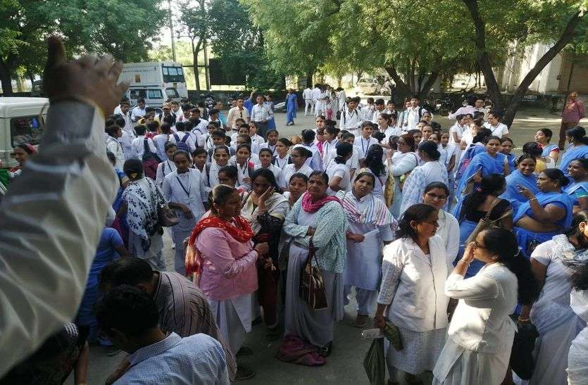 Survey of 5 thousand houses of the city in bhilwara शहर के 5 हजार घरों का सर्वे