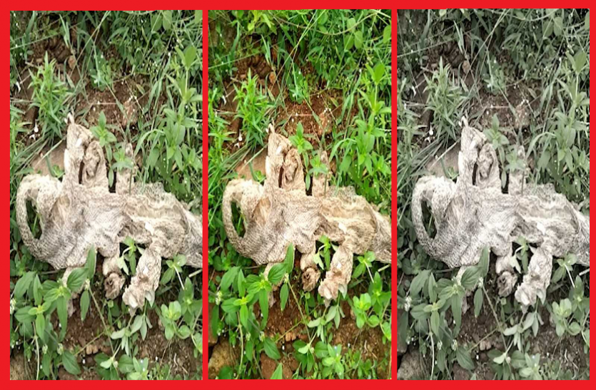 nwal.png 7 मुंह वाले सांप की खाल दिखने पर इस गांव में मची अफरा-तफरी, जानें क्या है सच्चाई