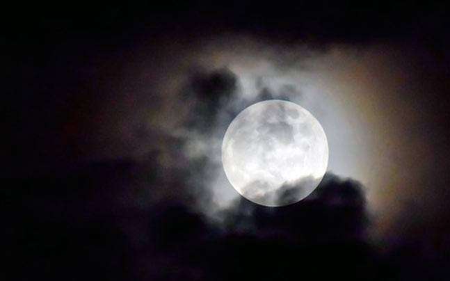 sharad purnima 2019