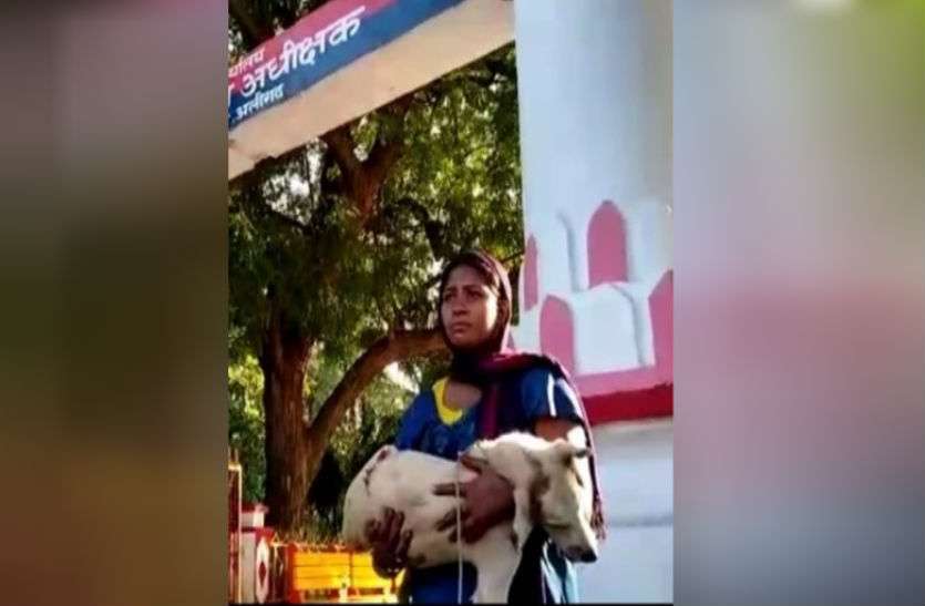 कुत्ते की हत्या का मामला दर्ज कराने एसएसपी कार्यालय पहुंची महिला कुत्ते की हत्या का मामला दर्ज कराने एसएसपी कार्यालय पहुंची महिला फिर...