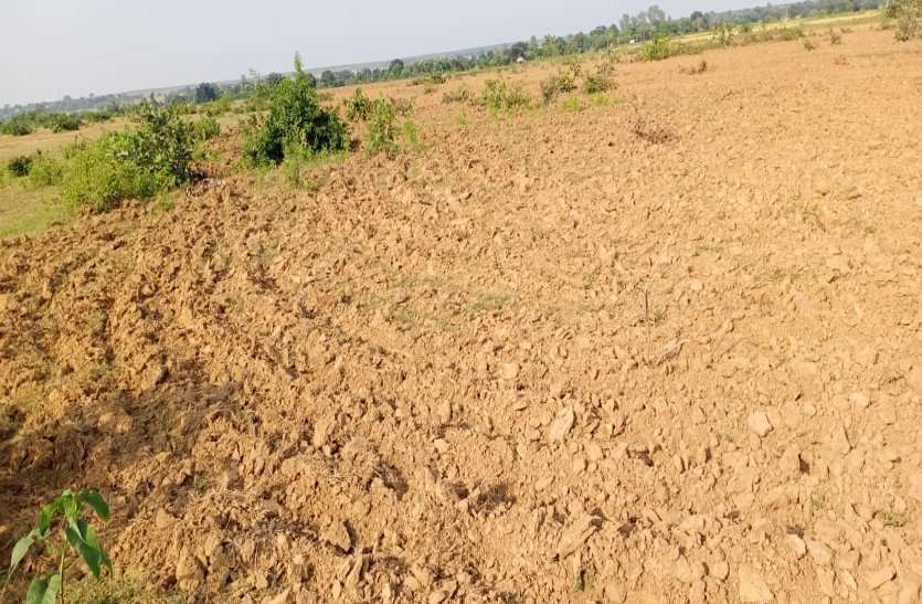 Forest land #Magnificent MP 2019 : प्रदेश के इस जिले जिले में बनेगा बड़ा जमीन बैंक, वन विभाग से वापस ली जाएगी जमीन