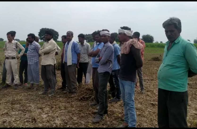 The hell found in the field created a stir, but when the material was खेत में पड़ा मिला नरकंकाल तो मच गया हड़कंप, लेकिन जब वहां सामग्री मिली तो यह सच आया सामने