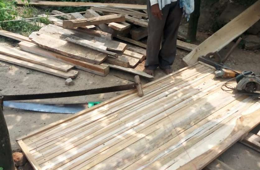 Forest Department caught illegal teak including two accused पीएम आवास में लगाने बना रहे थे अवैध सागौन की खिड़की दरवाजे