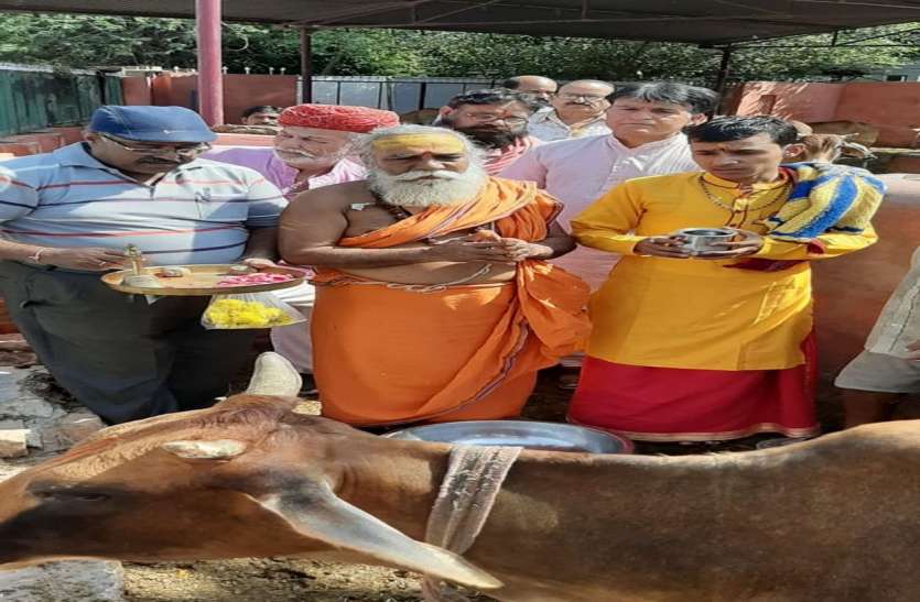 State level Gaushala operator conference starts in bikaner आयोजन: राज्य स्तरीय गोशाला संचालक सम्मेलन शुरू