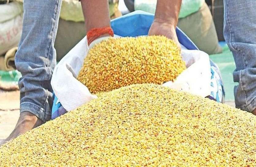 किसान समर्थन मूल्य से नीचे दाम पर बेच रहे है दलहन, फिर भी आयात कोटा बढ़ाने पर विचार किसान समर्थन मूल्य से नीचे दाम पर बेच रहे है दलहन, फिर भी आयात कोटा बढ़ाने पर विचार