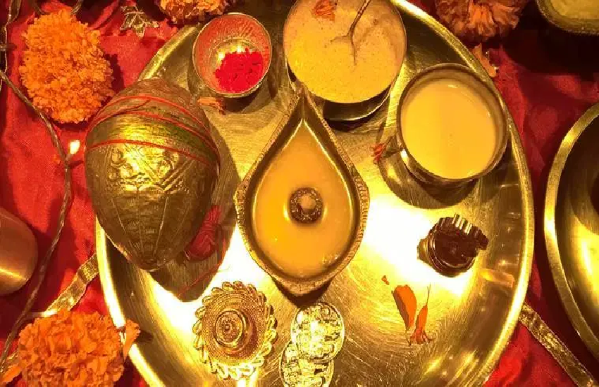 dhaniya1.png