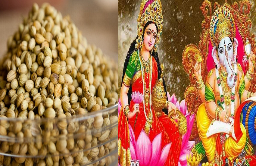dhaniya.png