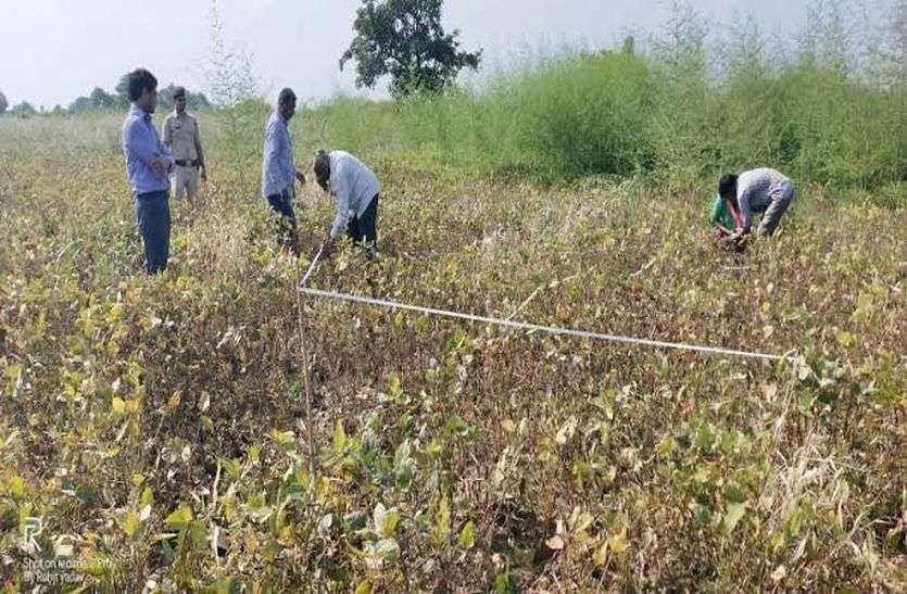 Farmers said 90 percent breakdown, government admitted 49 percent loss in bhilwara किसानों ने कहा 90 फीसदी खराबा, सरकार ने माना 49 फीसदी नुकसान