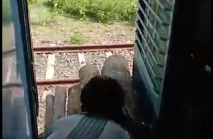 ट्रेेनों में हो रही सागौन की तस्करी, कभी बन सकती है हजारों यात्रियों के लिए मुसीबत, जानें कैसे ट्रेेनों में हो रही सागौन की तस्करी, कभी बन सकती है हजारों यात्रियों के लिए मुसीबत, जानें कैसे