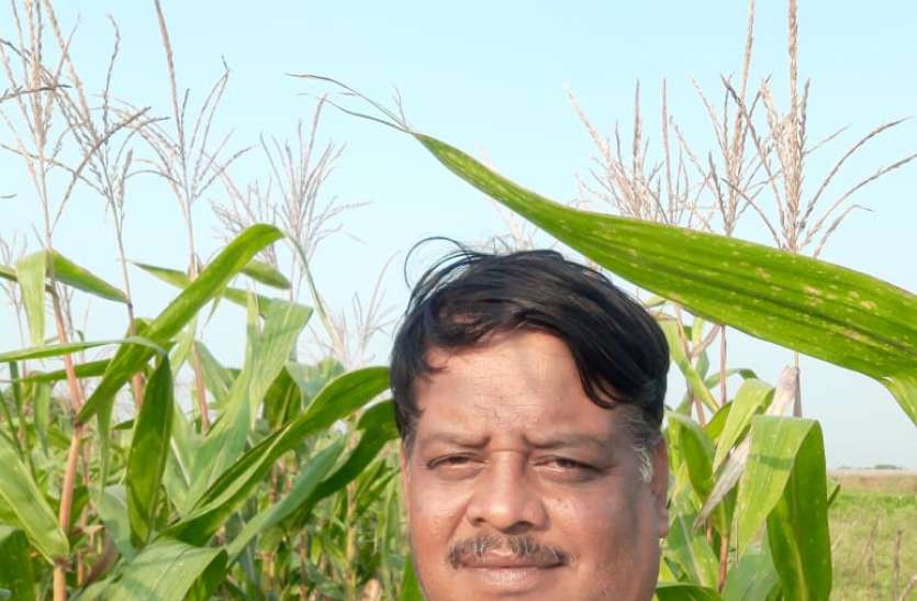 अजब-गजब : यह किसान सीजन शुरू होने के 45 दिन पहले मार्केट में पहुंचा देते हैं सब्जियां अजब-गजब : यह किसान सीजन शुरू होने के 45 दिन पहले मार्केट में पहुंचा देते हैं सब्जियां