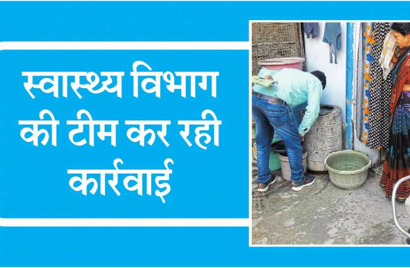 mosquito घरों में मिल रहे मौत के दानव, मौके पर कर रहे खत्म