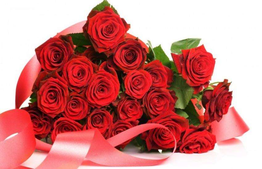 red_flower-3.jpeg